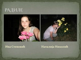 Ива Стевовић   Наталија Николић
 