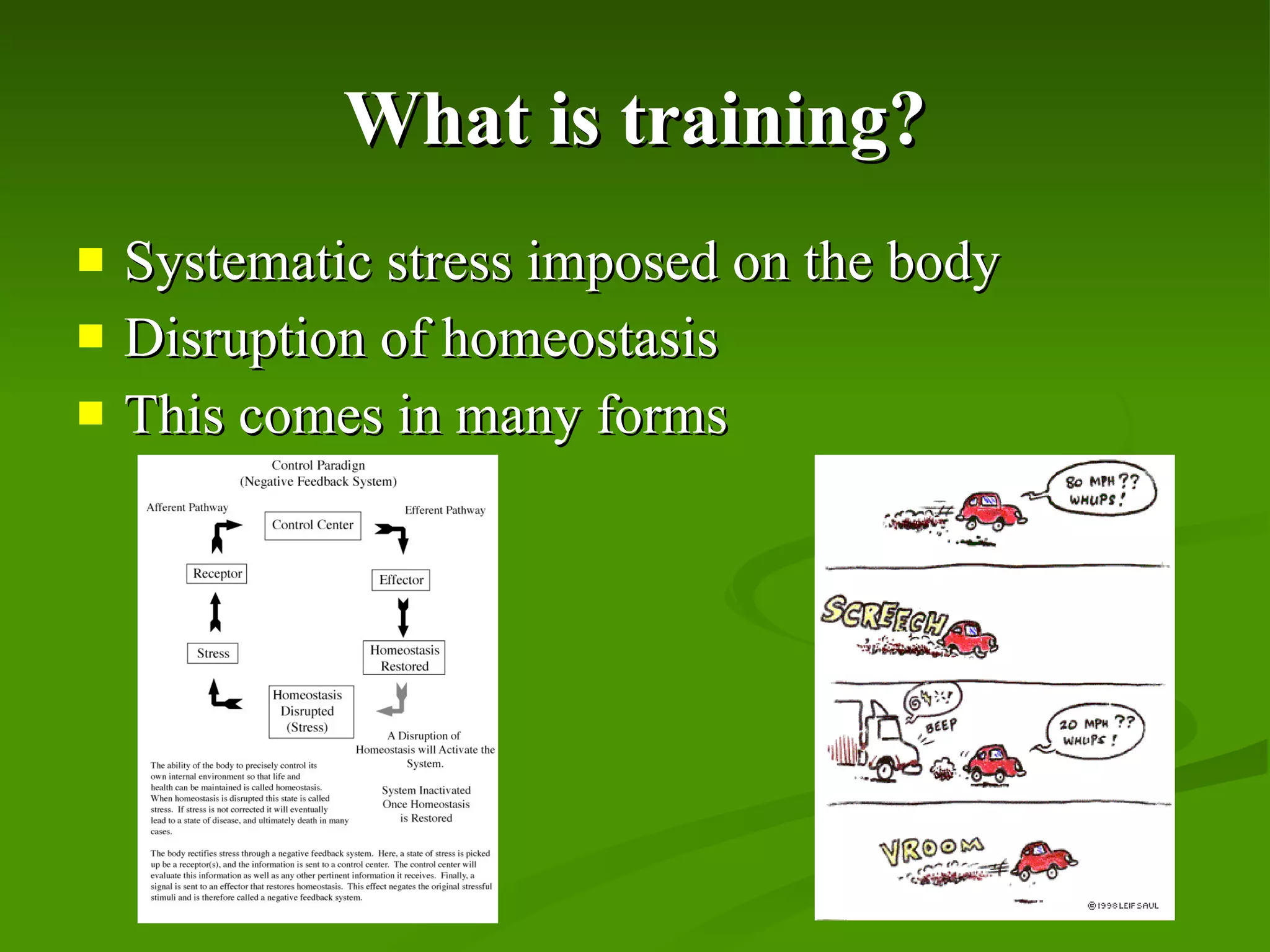 What is training? Systematic stress imposed on the body Disruption of homeostasis This comes in many forms 