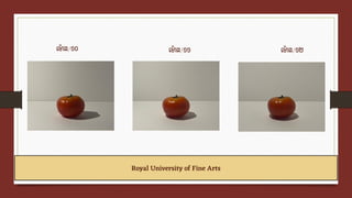 Ufa Rufa Presentation of Rufa | PDF