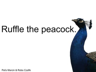 Ruffle the peacock.

Peťo Marcin & Robo Czafik

 