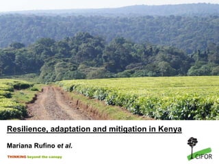 THINKING beyond the canopy
Resilience, adaptation and mitigation in Kenya
Mariana Rufino et al.
 