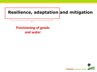 THINKING beyond the canopy
Resilience, adaptation and mitigation
Provisioning of goods
and water
 