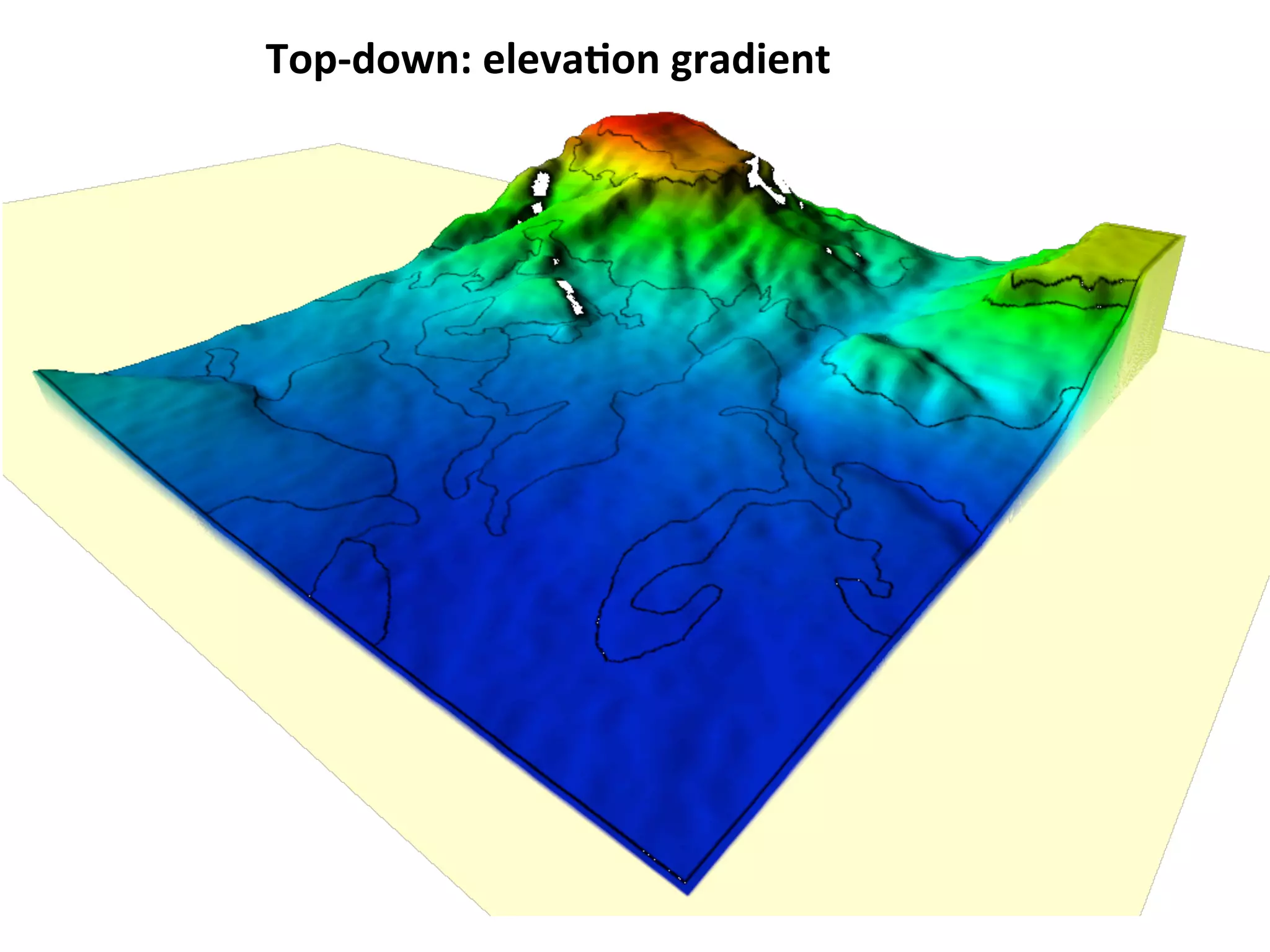 Top-­‐down: 
eleva3on 
gradient 
 