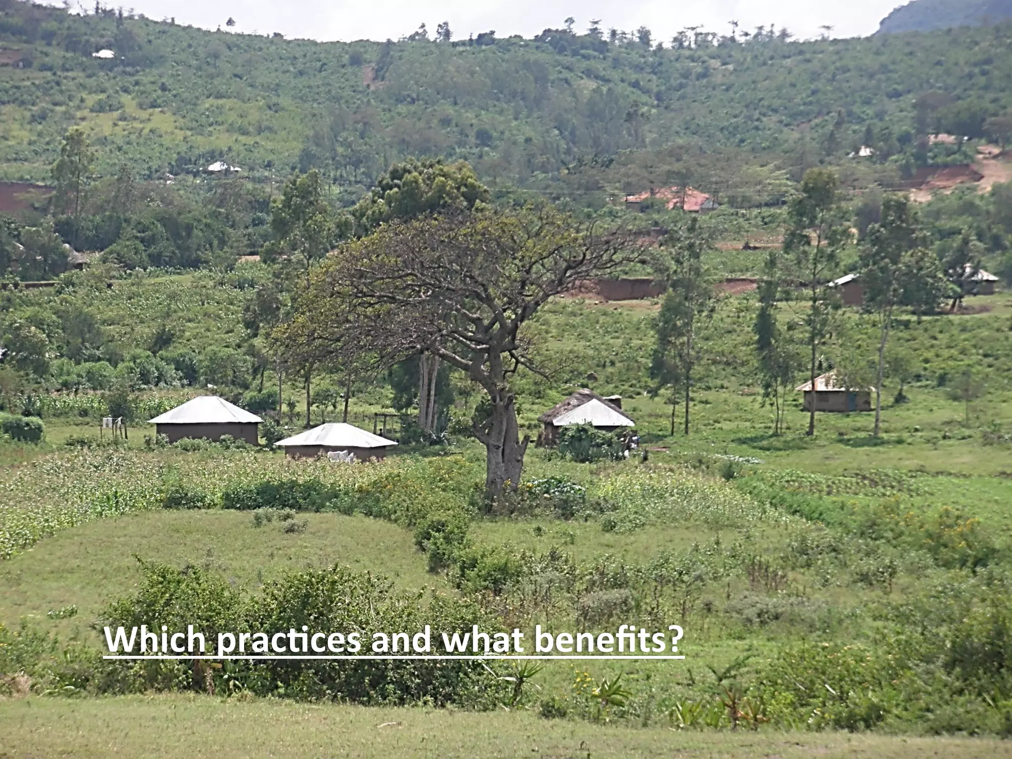 Which 
prac3ces 
and 
what 
benefits? 
 