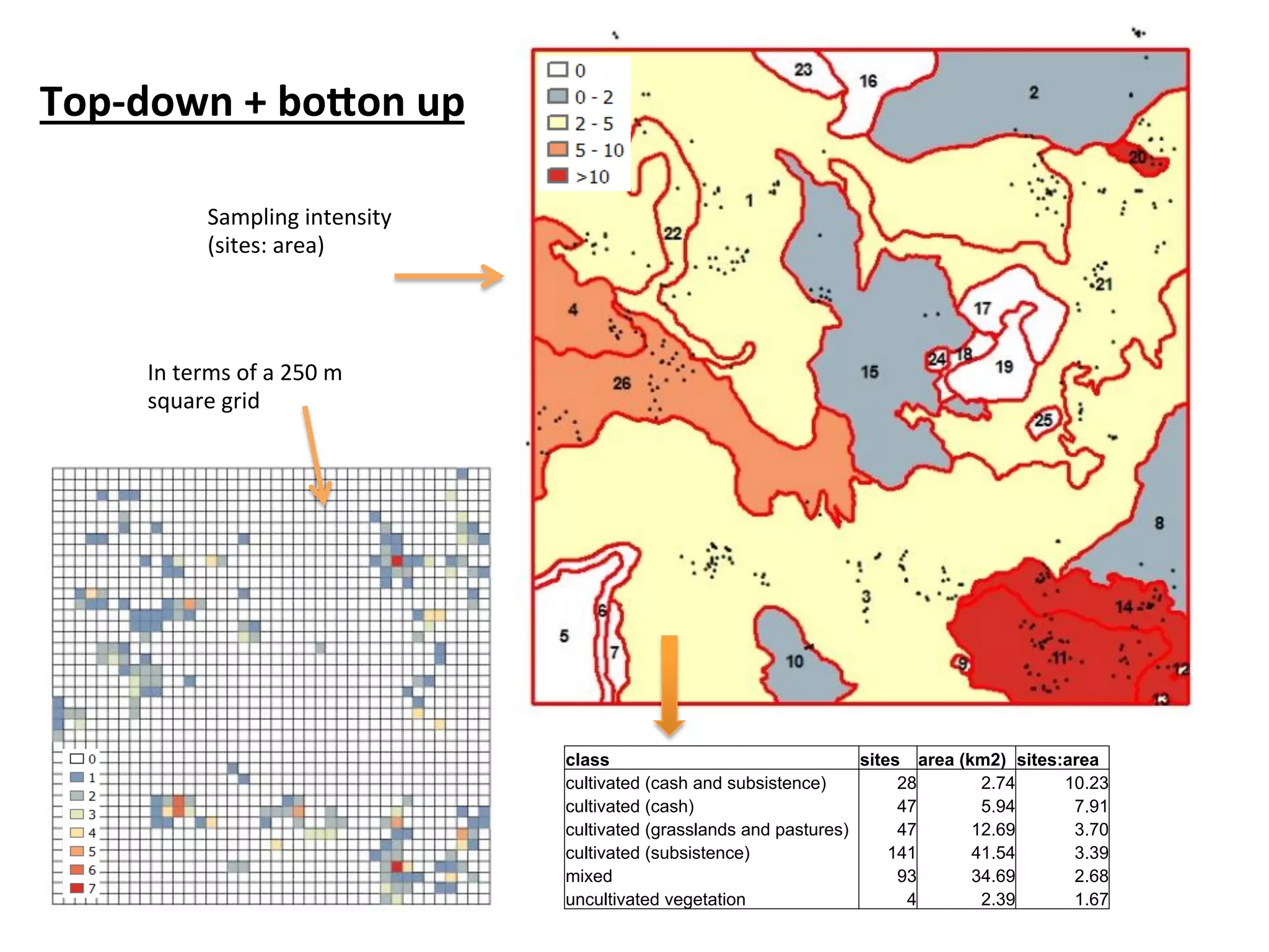 Top-­‐down 
+ 
bo8on 
up 
Sampling 
intensity 
(sites: 
area) 
In 
terms 
of 
a 
250 
m 
square 
grid 
class sites area (km2) sites:area 
cultivated (cash and subsistence) 28 2.74 10.23 
cultivated (cash) 47 5.94 7.91 
cultivated (grasslands and pastures) 47 12.69 3.70 
cultivated (subsistence) 141 41.54 3.39 
mixed 93 34.69 2.68 
uncultivated vegetation 4 2.39 1.67 
 
