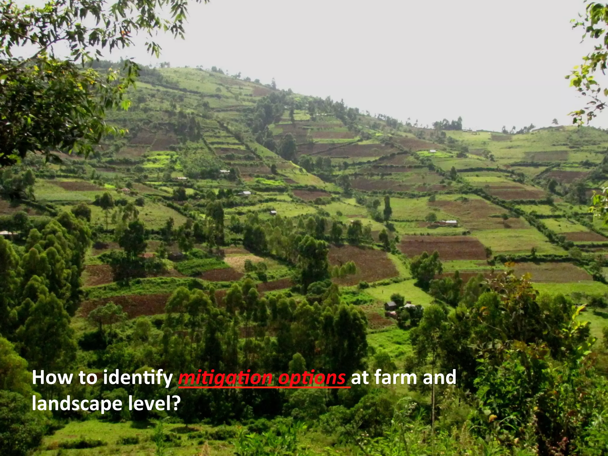 How 
to 
iden3fy 
mi#ga#on 
op#ons 
at 
farm 
and 
landscape 
level? 
 