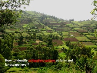 Rufino Informed sampling for targeting mitigation Nov 10 2014