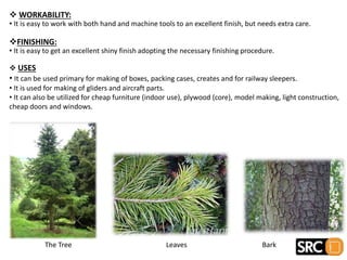  WORKABILITY:
• It is easy to work with both hand and machine tools to an excellent finish, but needs extra care.
FINISHING:
• It is easy to get an excellent shiny finish adopting the necessary finishing procedure.
 USES
• It can be used primary for making of boxes, packing cases, creates and for railway sleepers.
• It is used for making of gliders and aircraft parts.
• It can also be utilized for cheap furniture (indoor use), plywood (core), model making, light construction,
cheap doors and windows.
The Tree Leaves Bark
 