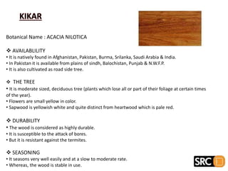KIKAR
Botanical Name : ACACIA NILOTICA
 AVAILABLILITY
• It is natively found in Afghanistan, Pakistan, Burma, Srilanka, Saudi Arabia & India.
• In Pakistan it is available from plains of sindh, Balochistan, Punjab & N.W.F.P.
• It is also cultivated as road side tree.
 THE TREE
• It is moderate sized, deciduous tree (plants which lose all or part of their foliage at certain times
of the year).
• Flowers are small yellow in color.
• Sapwood is yellowish white and quite distinct from heartwood which is pale red.
 DURABILITY
• The wood is considered as highly durable.
• It is susceptible to the attack of bores.
• But it is resistant against the termites.
 SEASONING
• It seasons very well easily and at a slow to moderate rate.
• Whereas, the wood is stable in use.
Tangential View
 