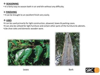  SEASONING
• It is fairly easy to season both in air and kiln without any difficulty.
 FINISHING
• It can be brought to an excellent finish very easily.
 USES
•It can be used primarily for light construction, plywood, boxes & packing cases.
•It can also be utilized for light furniture and certain other parts of the furniture & cabinets.
•Like shoe soles and domestic wooden ware.
Leavs Bark
 