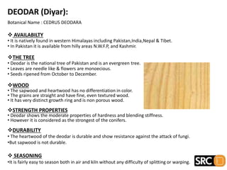 Botanical Name : CEDRUS DEODARA
 AVAILABILTY
• It is natively found in western Himalayas including Pakistan,India,Nepal & Tibet.
• In Pakistan it is available from hilly areas N.W.F.P, and Kashmir.
THE TREE
• Deodar is the national tree of Pakistan and is an evergreen tree.
• Leaves are needle like & flowers are monoecious.
• Seeds ripened from October to December.
WOOD
• The sapwood and heartwood has no differentiation in color.
• The grains are straight and have fine, even textured wood.
• It has very distinct growth ring and is non porous wood.
STRENGTH PROPERTIES
• Deodar shows the moderate properties of hardness and blending stiffness.
• However it is considered as the strongest of the conifers.
DURABILITY
• The heartwood of the deodar is durable and show resistance against the attack of fungi.
•But sapwood is not durable.
 SEASONING
•It is fairly easy to season both in air and kiln without any difficulty of splitting or warping.
 