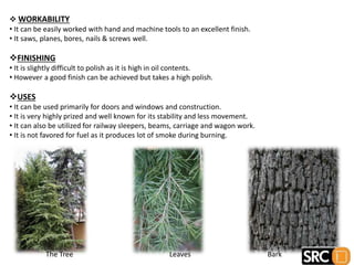  WORKABILITY
• It can be easily worked with hand and machine tools to an excellent finish.
• It saws, planes, bores, nails & screws well.
FINISHING
• It is slightly difficult to polish as it is high in oil contents.
• However a good finish can be achieved but takes a high polish.
USES
• It can be used primarily for doors and windows and construction.
• It is very highly prized and well known for its stability and less movement.
• It can also be utilized for railway sleepers, beams, carriage and wagon work.
• It is not favored for fuel as it produces lot of smoke during burning.
The Tree Leaves Bark
 