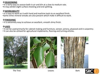 SEASONING
• It is fairly easy to season both in air and kiln at a slow to medium rate.
•It may exhibit slight surface checking and end splitting.
WORKABILITY
• It is easy to work on it with hand and machine tools to an excellent finish.
•Some times mineral streaks are also present which make it difficult to work.
FINISHING
• It is extremely easy to achieve an excellent, smooth shiny finish.
USES
• It can be used primarily for cabinet making and furniture, veneer, joinery, plywood and in carpentry.
• It can also be utilized for agricultural implements, flooring and turning articles.
The Tree Leaves Bark
 