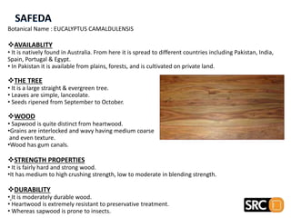 Botanical Name : EUCALYPTUS CAMALDULENSIS
AVAILABLITY
• It is natively found in Australia. From here it is spread to different countries including Pakistan, India,
Spain, Portugal & Egypt.
• In Pakistan it is available from plains, forests, and is cultivated on private land.
THE TREE
• It is a large straight & evergreen tree.
• Leaves are simple, lanceolate.
• Seeds ripened from September to October.
WOOD
• Sapwood is quite distinct from heartwood.
•Grains are interlocked and wavy having medium coarse
and even texture.
•Wood has gum canals.
STRENGTH PROPERTIES
• It is fairly hard and strong wood.
•It has medium to high crushing strength, low to moderate in blending strength.
DURABILITY
• It is moderately durable wood.
• Heartwood is extremely resistant to preservative treatment.
• Whereas sapwood is prone to insects.
 