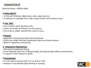 Botanical Name : MORUS ALBA
AVAILABILTY
• It is found in Pakistan, Afghanistan, India, Japan and Iran.
• In Pakistan it is available from sindh, Punjab, N.W.F.P and northern areas.
THE TREE
• It is a medium sized, deciduous tree.
• Leaves are simple and flowers are monoecious.
• Fruit is berry, edible, ripened from march to June.
WOOD
• Sapwood is clearly demarcated from heartwood.
• Grains are straight and have moderately coarse and uneven texture.
• Wood is ring porous and lustrous.
 STRENGTH PROPERTIES
• The wood is moderately strong.
• It has moderate values of crushing strength, bending strength stiffness and hardness.
• It is good in shock resistance ability.
SEASONING
• It is very easy to season both in air as well as in kiln.
• However it may develop slight twisting or warping.
 