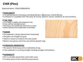 Botanical Name : PINUS ROXBURGHII
AVAILABILTY
• It is natively found in Himalayas including Pakistan, Afghanistan, India & Bhutan.
• In Pakistan it is available from hilly areas of murree, Kashmir, hazara, malakand, dir and manshera.
THE TREE
• It is a large, straight and evergreen tree.
• It has narrow rounded crown.
• The leaves are needle like and fruit is a cone.
• Seeds ripened from September to October.
WOOD
• The sapwood is clearly distinct from heartwood.
• The grains are straight to spiral.
• Texture is coarse to medium fine and uneven.
• Wood is non porous and it has very distinct growth rings.
STRENGTH PROPERTIES
• The wood is fairly heavy and is moderately strong.
• It has moderate in crushing strength, bending strength and hardness.
DURABILITY
• Chir is a durable wood when used under cover.
• It is fairly easy to treat it with the preservatives.
 