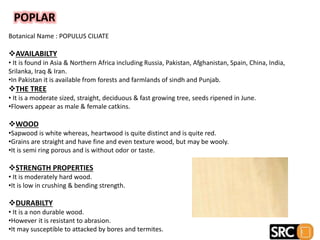 POPLAR
Botanical Name : POPULUS CILIATE
AVAILABILTY
• It is found in Asia & Northern Africa including Russia, Pakistan, Afghanistan, Spain, China, India,
Srilanka, Iraq & Iran.
•In Pakistan it is available from forests and farmlands of sindh and Punjab.
THE TREE
• It is a moderate sized, straight, deciduous & fast growing tree, seeds ripened in June.
•Flowers appear as male & female catkins.
WOOD
•Sapwood is white whereas, heartwood is quite distinct and is quite red.
•Grains are straight and have fine and even texture wood, but may be wooly.
•It is semi ring porous and is without odor or taste.
STRENGTH PROPERTIES
• It is moderately hard wood.
•It is low in crushing & bending strength.
DURABILTY
• It is a non durable wood.
•However it is resistant to abrasion.
•It may susceptible to attacked by bores and termites.
 