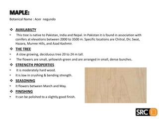 MAPLE:
Botanical Name : Acer negundo
 AVAILABILTY
• This tree is native to Pakistan, India and Nepal. In Pakistan it is found in association with
conifers at elevations between 2000 to 3500 m. Specific locations are Chitral, Dir, Swat,
Hazara, Murree Hills, and Azad Kashmir.
 THE TREE
• A slow growing, deciduous tree 20 to 24 m tall.
• The flowers are small, yellowish-green and are arranged in small, dense bunches.
 STRENGTH PROPERTIES
• It is moderately hard wood.
• It is low in crushing & bending strength.
 SEASONING
• It flowers between March and May.
 FINISHING
• It can be polished to a slightly good finish.
 