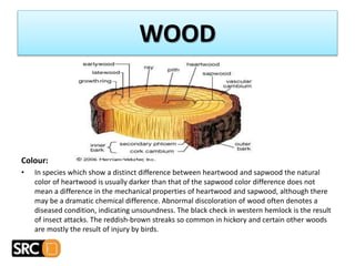 Colour:
• In species which show a distinct difference between heartwood and sapwood the natural
color of heartwood is usually darker than that of the sapwood color difference does not
mean a difference in the mechanical properties of heartwood and sapwood, although there
may be a dramatic chemical difference. Abnormal discoloration of wood often denotes a
diseased condition, indicating unsoundness. The black check in western hemlock is the result
of insect attacks. The reddish-brown streaks so common in hickory and certain other woods
are mostly the result of injury by birds.
WOOD
 