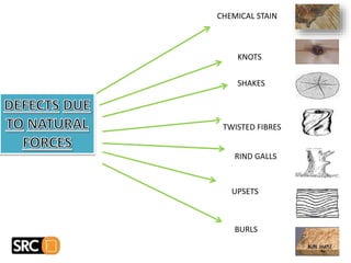 CHEMICAL STAIN
KNOTS
SHAKES
RIND GALLS
UPSETS
BURLS
TWISTED FIBRES
 