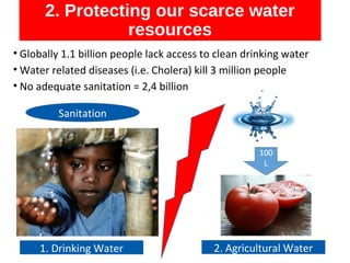 Strengthening Food and Nutrition Security in Africa: Food Safety in a ...