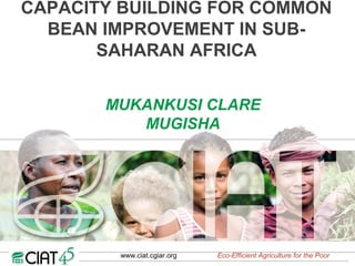 CAPACITY BUILDING FOR COMMON
  BEAN IMPROVEMENT IN SUB-
       SAHARAN AFRICA


       MUKANKUSI CLARE
          MUGISHA




        www.ciat.cgiar.org   Eco-Efficient Agriculture for the Poor
 