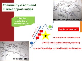  Towards resilient and profitable family farming systems in central Mozambique