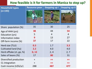  Towards resilient and profitable family farming systems in central Mozambique