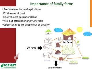  Towards resilient and profitable family farming systems in central Mozambique