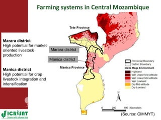  Towards resilient and profitable family farming systems in central Mozambique