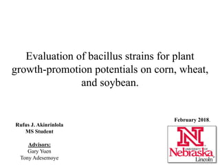 Evaluation of bacillus strains for plant
growth-promotion potentials on corn, wheat,
and soybean.
Rufus J. Akinrinlola
MS Student
Advisors:
Gary Yuen
Tony Adesemoye
February 2018.
 