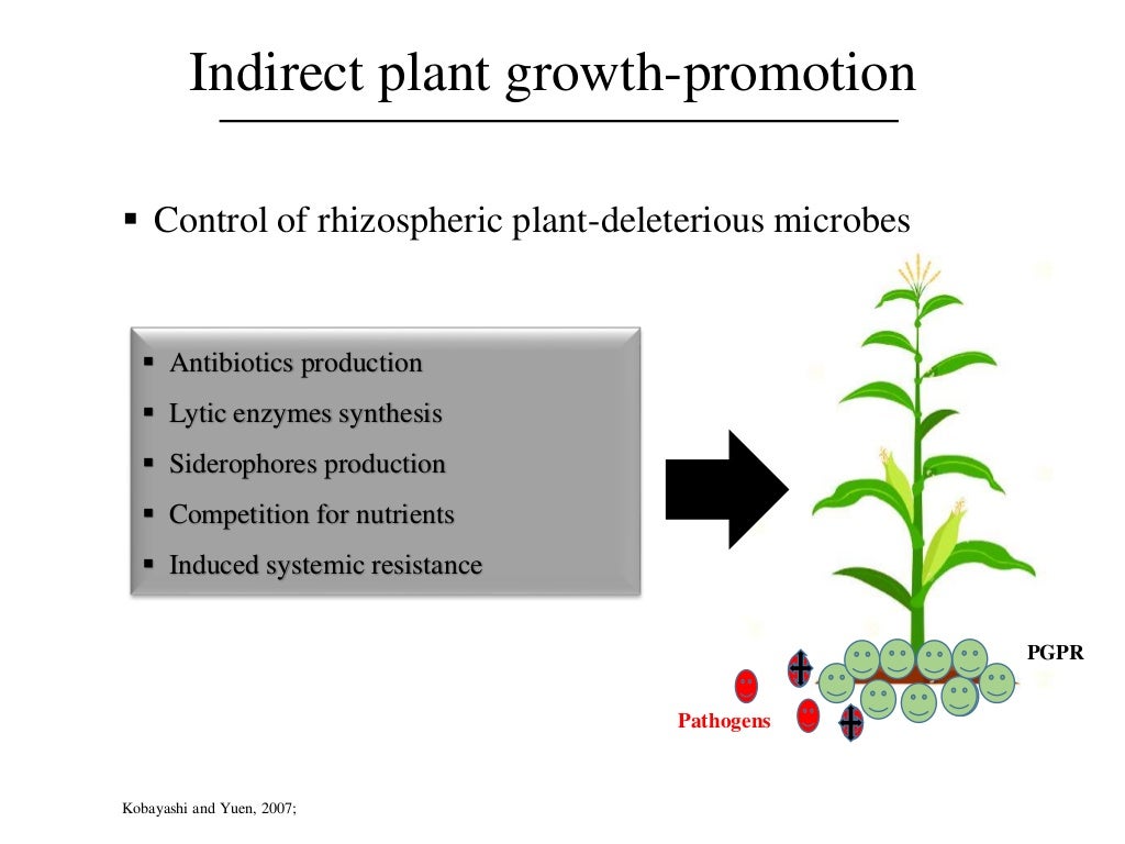 Master thesis feb antwerp picture