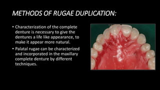 Uncovering The Mystery What Does Rugae Feel Like - sf49q1v