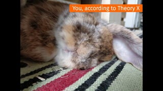 You, according to Theory X
 