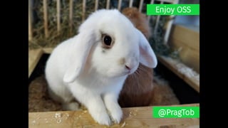 @PragTob
Enjoy OSS
 