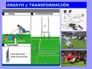 ENSAYO y TRANSFORMACIÓN
 