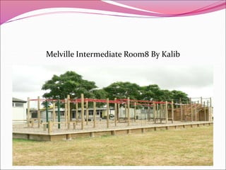 Melville Intermediate Room8 By Kalib
 