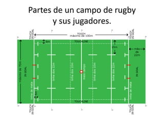 Partes de un campo de rugby 
y sus jugadores. 
 