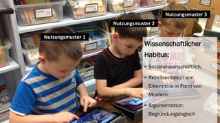 Wissenschaftlicher Habitus: 
•Sozialwissenschaftlich, 
•Repräsentation von Erkenntnis in Form von Mustern 
•Argumentation: Begründungslogisch 
Nutzungsmuster 1 
Nutzungsmuster 2 
Nutzungsmuster 3  