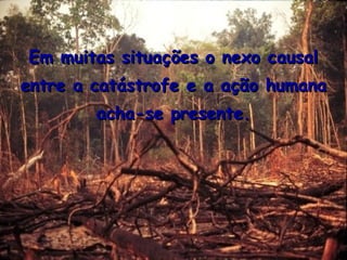 Em muitas situações o nexo causal
entre a catástrofe e a ação humana
        acha-se presente.
 