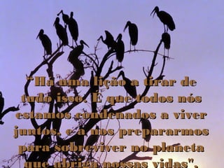 “Há uma lição a tirar de
 tudo isso. É que todos nós
estamos condenados a viver
juntos, e a nos prepararmos
 para sobreviver no planeta
  que abriga nossas vidas".
 