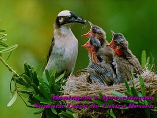 Montagem e Apresentação:
Samara Luiza de Castro Hessen
 