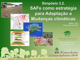Simpósio 3.2.
SAFs como estratégia
  para Adaptação a
Mudanças climáticas
                          Belém – PA,
                  24 de junho de 2010




               Marcos Rugnitz Tito
                m.tito@cgiar.org
 