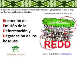 El potencial para la Reducción de Emisiones de Deforestación y Degradación Forestal y Pagos
por Servicios Ambientales en Honduras
Marcos Rugnitz Tito m.tito@cgiar.org
Siguatepeque, Honduras, 27 de enero de 2011
Reducción de
Emisión de la
Deforestación y
Degradación de los
bosques
 