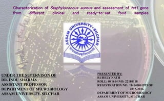 Characterization of Staphylococcus aureus and assessment of tst1 gene
from different clinical and ready-to-eat food samples
UNDER THE SUPERVISON OF
DR. INDU SHARMA
ASSISTANT PROFESSOR
DEPARTMENT OF MICROBIOLOGY
ASSAM UNIVERSITY, SILCHAR
PRESENTED BY:
RUHELY NATH
ROLL: 041614 NO: 22180118
REGISTRATION NO: 18-140061953 OF
2015-2016
DEPARTMENT OF MICROBIOLOGY
ASSAM UNIVERSITY, SILCHAR
 