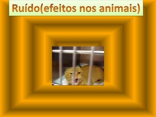 Ruído(efeitos nos animais)