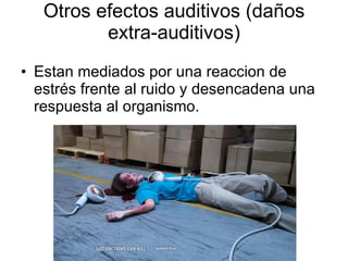 Otros efectos auditivos (daños extra-auditivos) Estan mediados por una reaccion de estrés frente al ruido y desencadena una respuesta al organismo. 