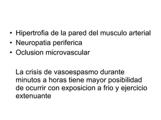 Hipertrofia de la pared del musculo arterial Neuropatia periferica Oclusion microvascular La crisis de vasoespasmo durante minutos a horas tiene mayor posibilidad de ocurrir con exposicion a frio y ejercicio extenuante 