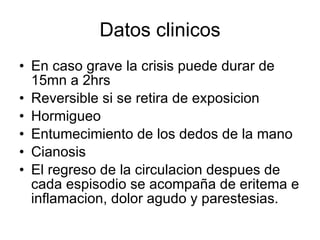 Datos clinicos En caso grave la crisis puede durar de 15mn a 2hrs Reversible si se retira de exposicion Hormigueo Entumecimiento de los dedos de la mano Cianosis El regreso de la circulacion despues de cada espisodio se acompaña de eritema e inflamacion, dolor agudo y parestesias. 
