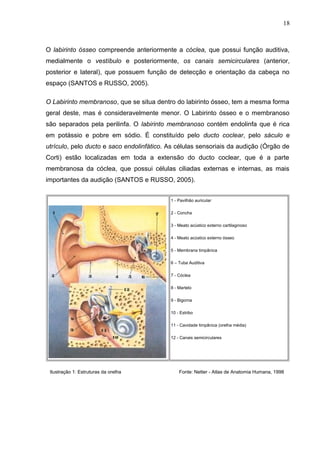 O labirinto ósseo compreende anteriormente a cóclea, que possui função auditiva,
medialmente o vestíbulo e posteriormente, os canais semicirculares (anterior,
posterior e lateral), que possuem função de detecção e orientação da cabeça no
espaço (SANTOS e RUSSO, 2005).
O Labirinto membranoso, que se situa dentro do labirinto ósseo, tem a mesma forma
geral deste, mas é consideravelmente menor. O Labirinto ósseo e o membranoso
são separados pela perilinfa. O labirinto membranoso contém endolinfa que é rica
em potássio e pobre em sódio. É constituído pelo ducto coclear, pelo sáculo e
utrículo, pelo ducto e saco endolinfático. As células sensoriais da audição (Órgão de
Corti) estão localizadas em toda a extensão do ducto coclear, que é a parte
membranosa da cóclea, que possui células ciliadas externas e internas, as mais
importantes da audição (SANTOS e RUSSO, 2005).
1 - Pavilhão auricular
2 - Concha
3 - Meato acústico externo cartilaginoso
4 - Meato acústico externo ósseo
5 - Membrana timpânica
6 – Tuba Auditiva
7 - Cóclea
8 - Martelo
9 - Bigorna
10 - Estribo
11 - Cavidade timpânica (orelha média)
12 - Canais semicirculares
Ilustração 1: Estruturas da orelha Fonte: Netter - Atlas de Anatomia Humana, 1998
18
 